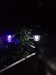 @campingnightpro, Austin